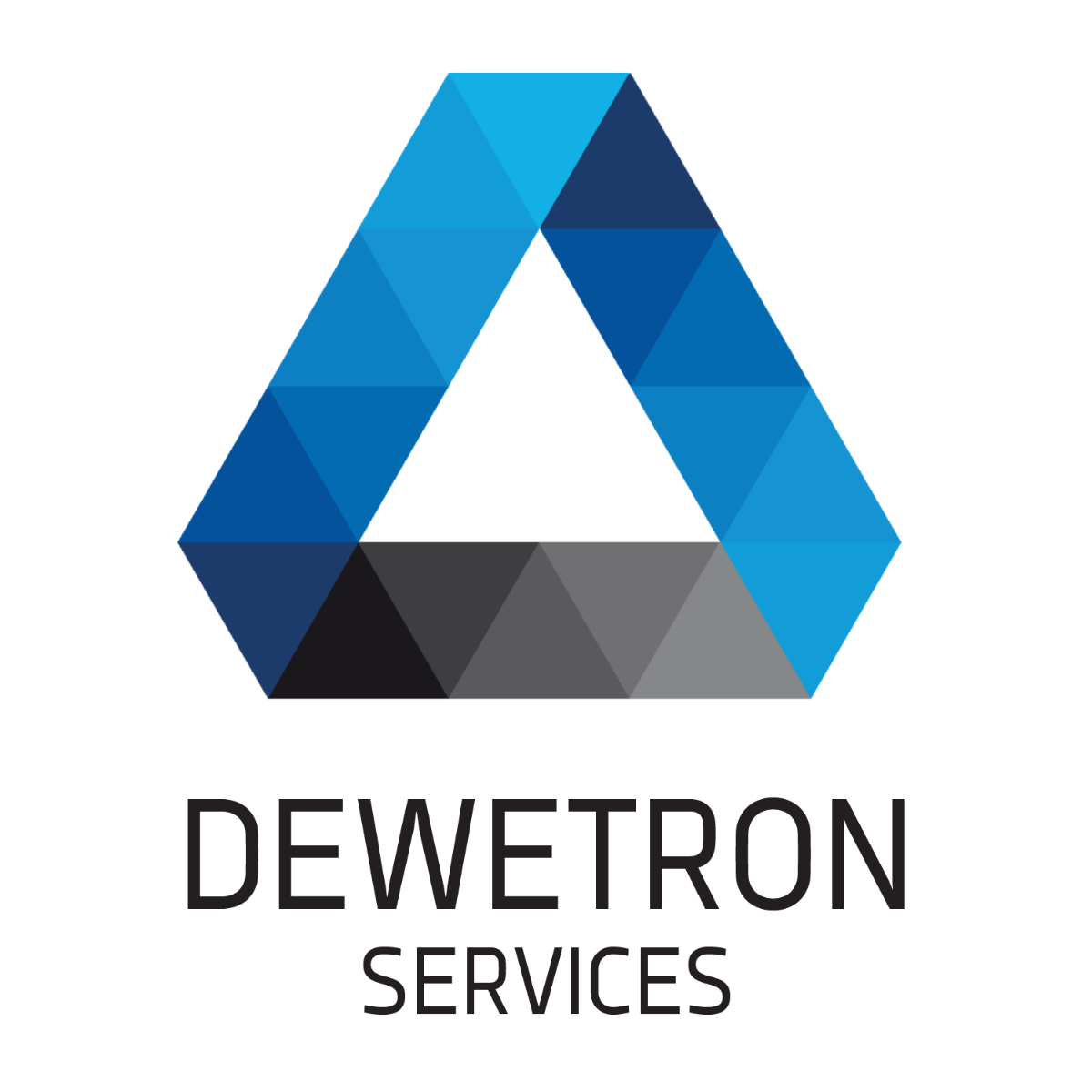 Dewetron Services